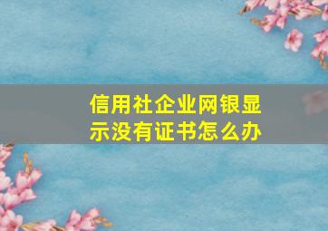 信用社企业网银显示没有证书怎么办