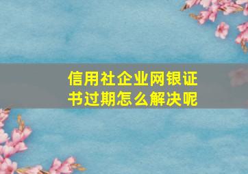 信用社企业网银证书过期怎么解决呢