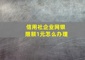 信用社企业网银限额1元怎么办理