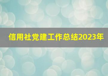 信用社党建工作总结2023年