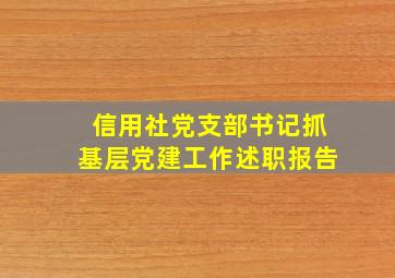 信用社党支部书记抓基层党建工作述职报告