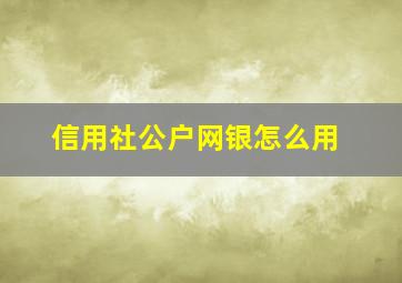 信用社公户网银怎么用