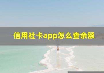 信用社卡app怎么查余额