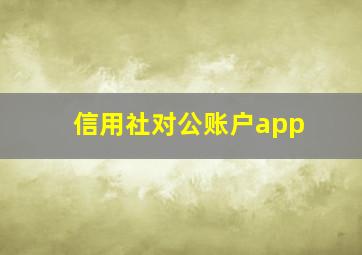 信用社对公账户app