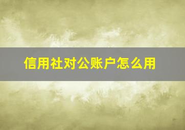 信用社对公账户怎么用