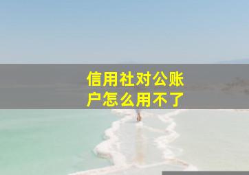 信用社对公账户怎么用不了