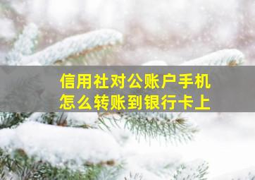 信用社对公账户手机怎么转账到银行卡上