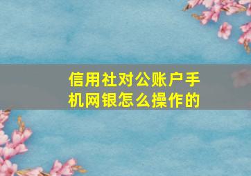 信用社对公账户手机网银怎么操作的