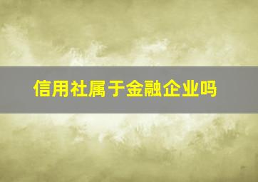 信用社属于金融企业吗