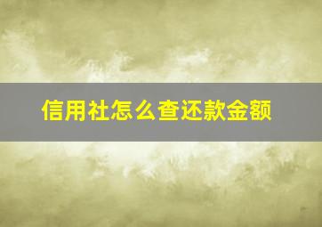 信用社怎么查还款金额