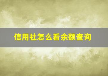 信用社怎么看余额查询