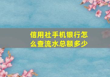 信用社手机银行怎么查流水总额多少