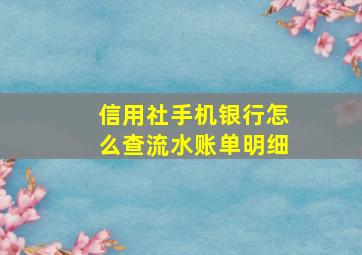 信用社手机银行怎么查流水账单明细