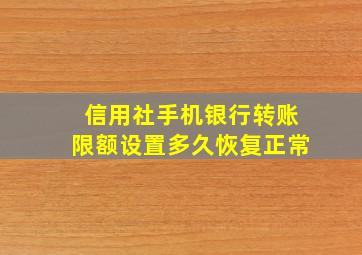 信用社手机银行转账限额设置多久恢复正常