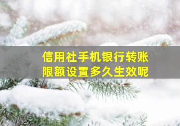 信用社手机银行转账限额设置多久生效呢