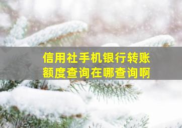 信用社手机银行转账额度查询在哪查询啊