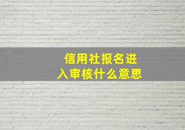 信用社报名进入审核什么意思