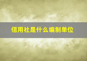 信用社是什么编制单位