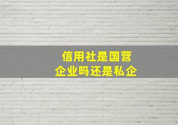 信用社是国营企业吗还是私企