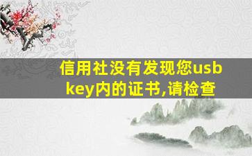 信用社没有发现您usbkey内的证书,请检查