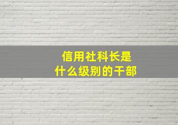 信用社科长是什么级别的干部