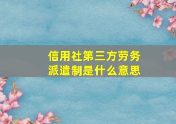 信用社第三方劳务派遣制是什么意思