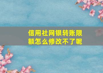 信用社网银转账限额怎么修改不了呢