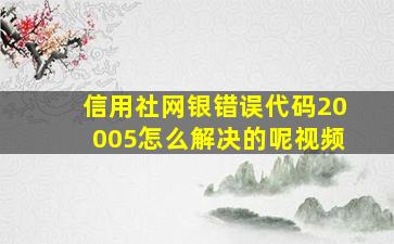 信用社网银错误代码20005怎么解决的呢视频