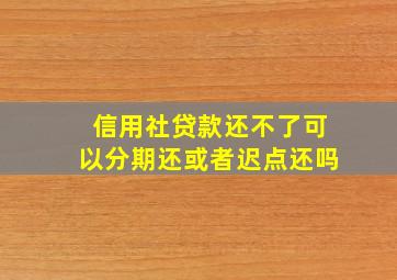 信用社贷款还不了可以分期还或者迟点还吗