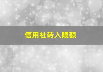 信用社转入限额