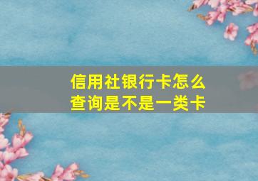 信用社银行卡怎么查询是不是一类卡