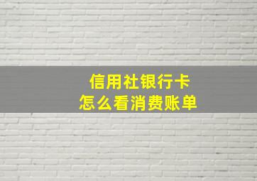 信用社银行卡怎么看消费账单