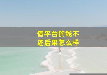 借平台的钱不还后果怎么样