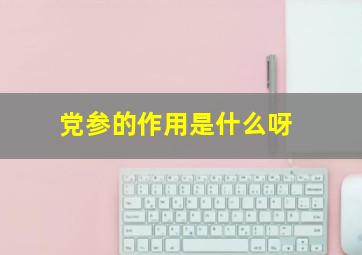 党参的作用是什么呀