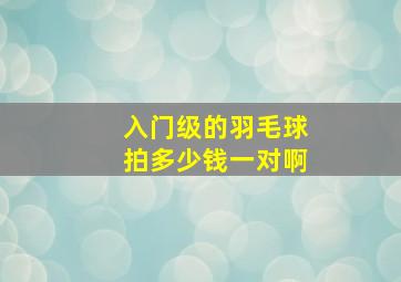 入门级的羽毛球拍多少钱一对啊