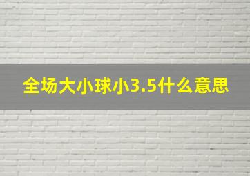 全场大小球小3.5什么意思