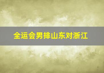 全运会男排山东对浙江