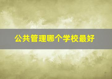 公共管理哪个学校最好