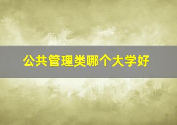 公共管理类哪个大学好