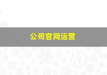 公司官网运营