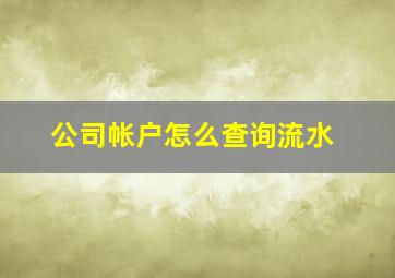 公司帐户怎么查询流水