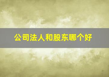 公司法人和股东哪个好