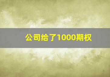 公司给了1000期权