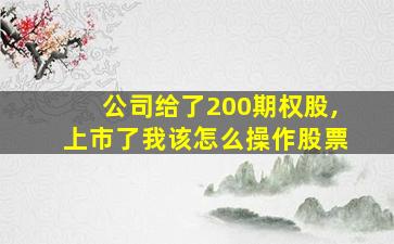 公司给了200期权股,上市了我该怎么操作股票