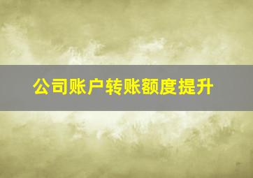 公司账户转账额度提升