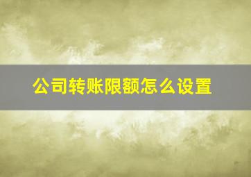 公司转账限额怎么设置