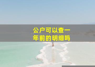 公户可以查一年前的明细吗