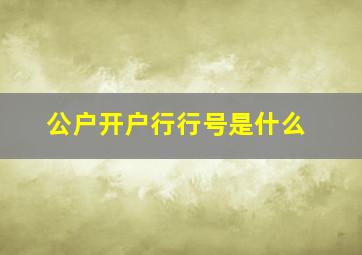 公户开户行行号是什么