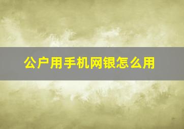 公户用手机网银怎么用