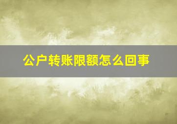 公户转账限额怎么回事